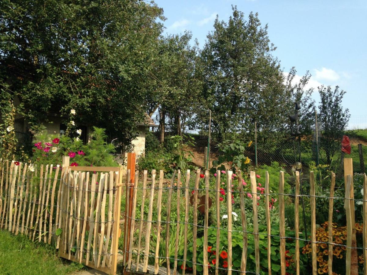 Weiher 1 Villa Rot an der Rot Kültér fotó